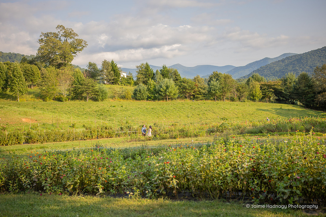 Surprise Proposal Photoshoot | Asheville Engagement Photographer