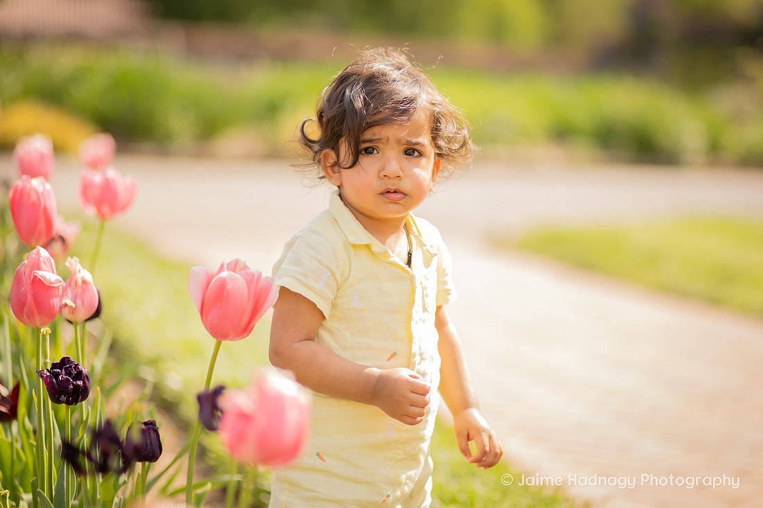 Family Photos in the Tulip Garden at the Biltmore Estate | Asheville Photographer
