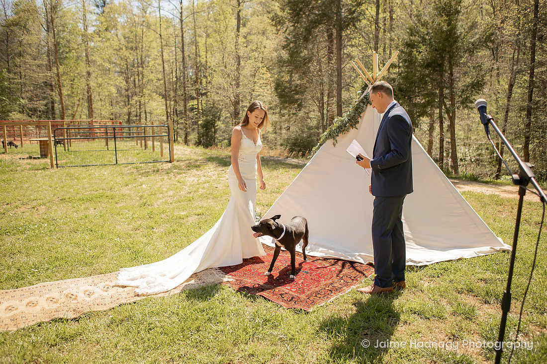 Small Intimate Wedding | Asheville Photographer