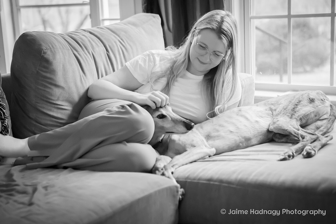 In Home Senior Dog Photo Session | Black Mountain NC Pet Photographer