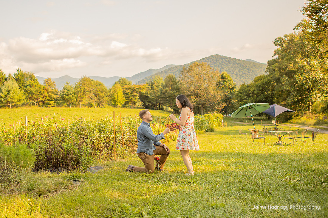 Surprise Proposal at Neverending Flower Farm | Asheville Engagement Photographer