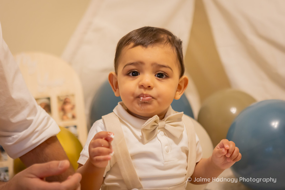 One Year Old Baby Photoshoot | WNC Baby Photographer