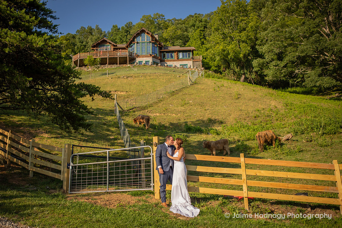 Wedding with Highland COws and Motorcycle | Asheville Elopement Photographer
