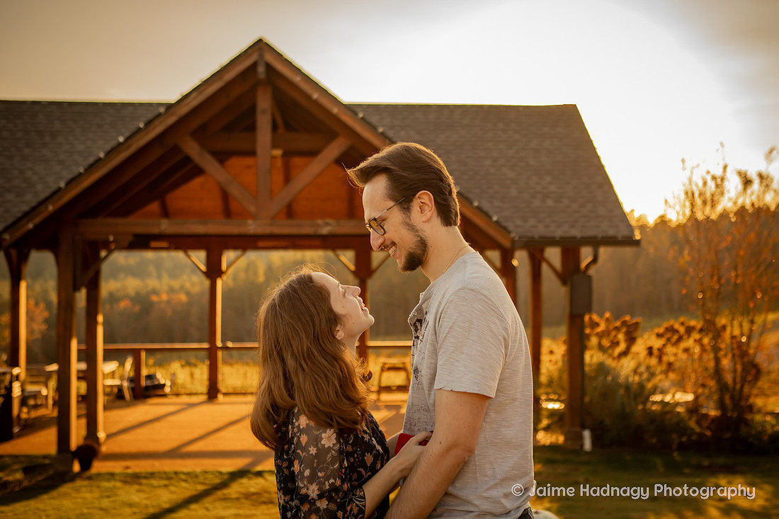 Surprise Proposal at Mountain Brook Vineyards | Asheville Engagement Photographer