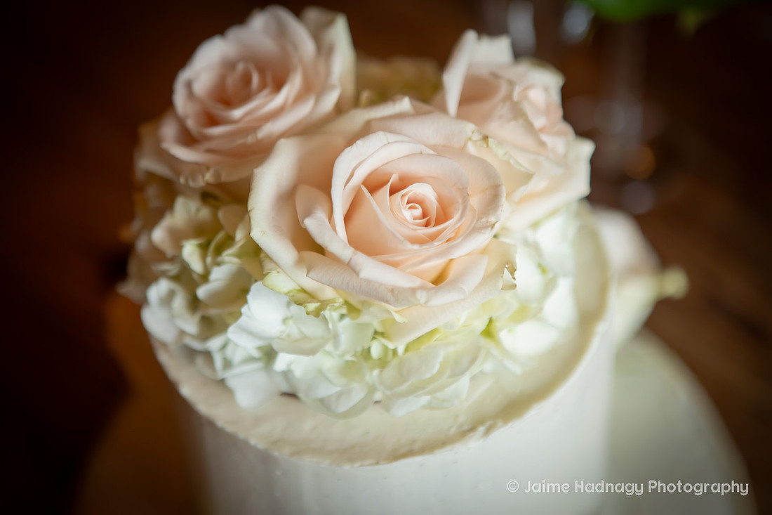 Elopement at Wildberry Lodge in Leicester | Asheville Wedding Photographer