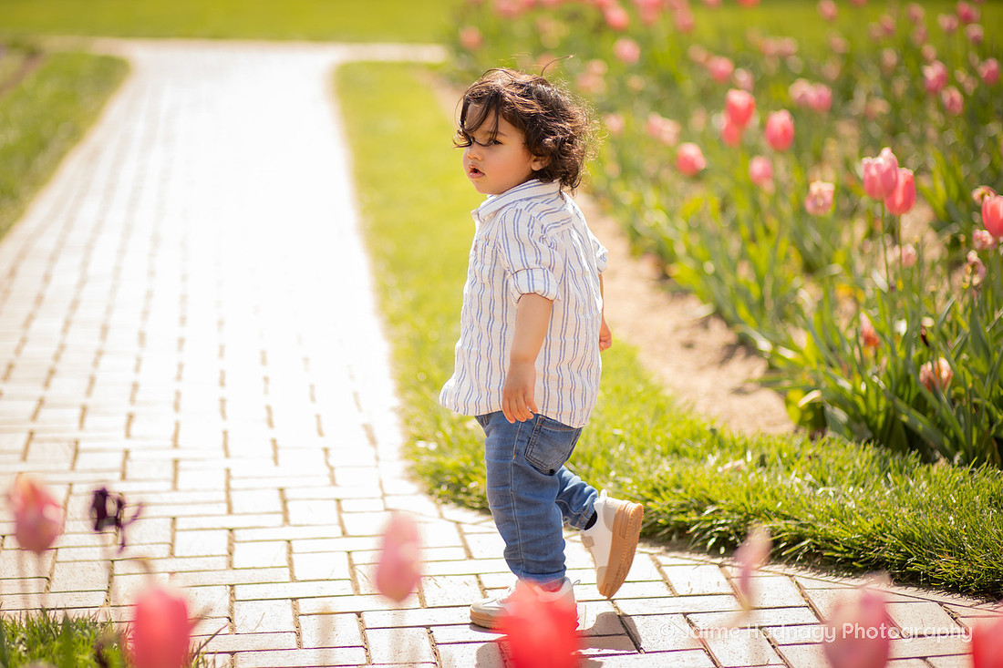 Family Photos with Toddler Baby | Asheville Photographer