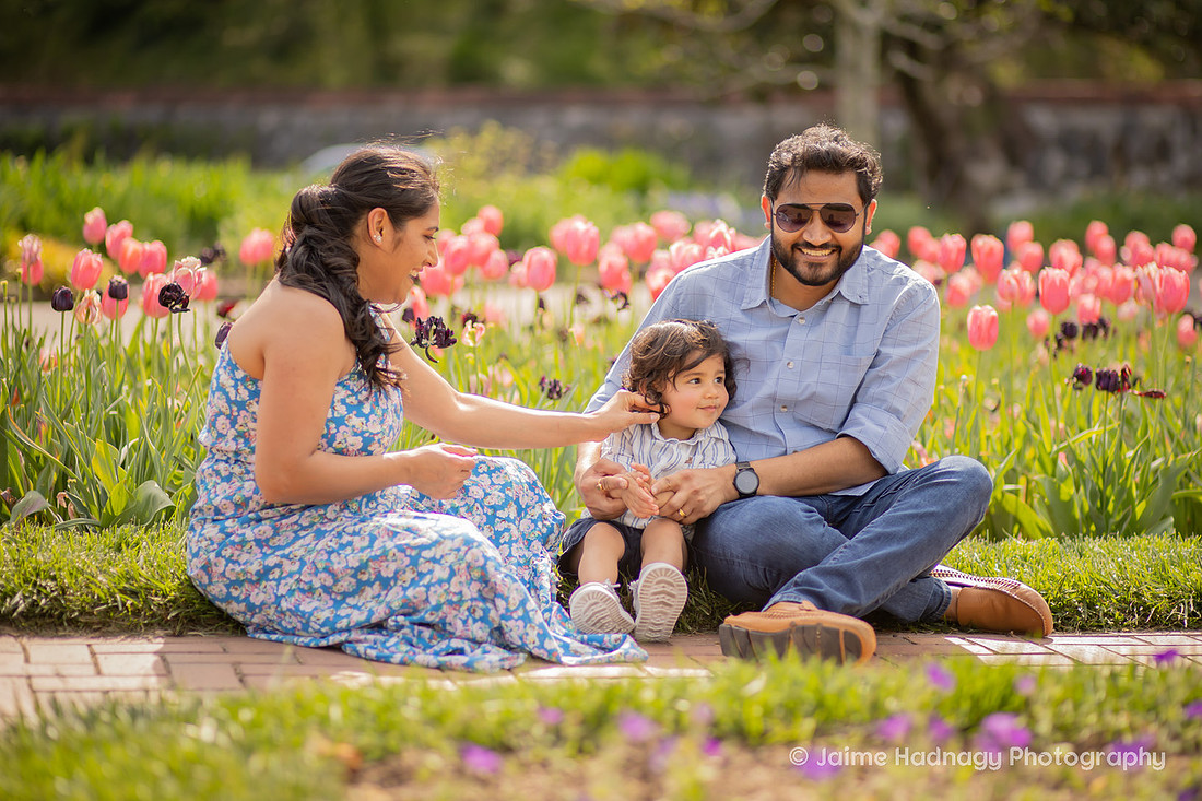 Family Photos in the Tulip Garden at the Biltmore Estate | Asheville Photographer