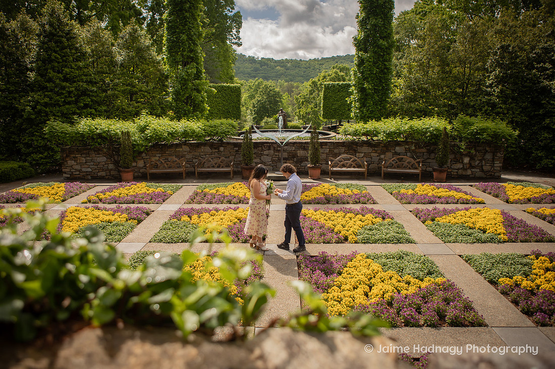 Romantic Surprise Proposal at the NC Arboretum | Asheville Engagement Photographer