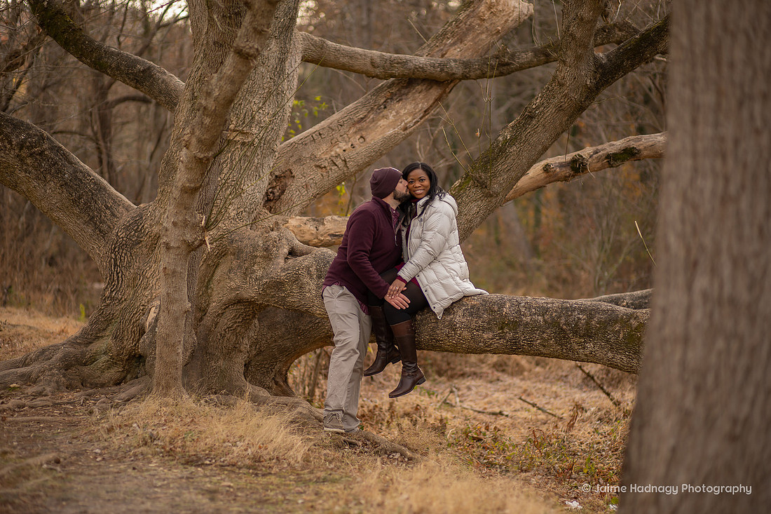 Couples Photos in a Tree In Asheville