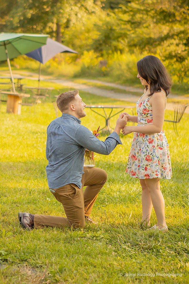 Surprise Proposal Photoshoot at The Never Ending Flower Farm | Asheville Photographer