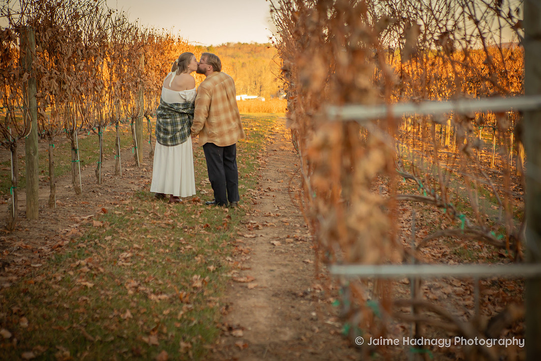 Hendersonville Vineyard Engagement Photos