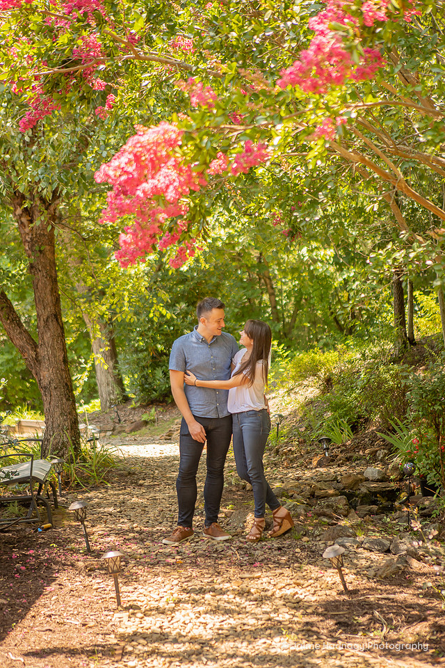 Beautiful Family Photos | Asheville Photographer