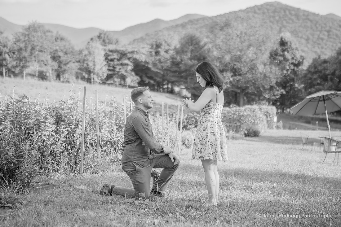 Asheville Engagement Photographer | Surprise Proposal At The Never Ending Flower Farm