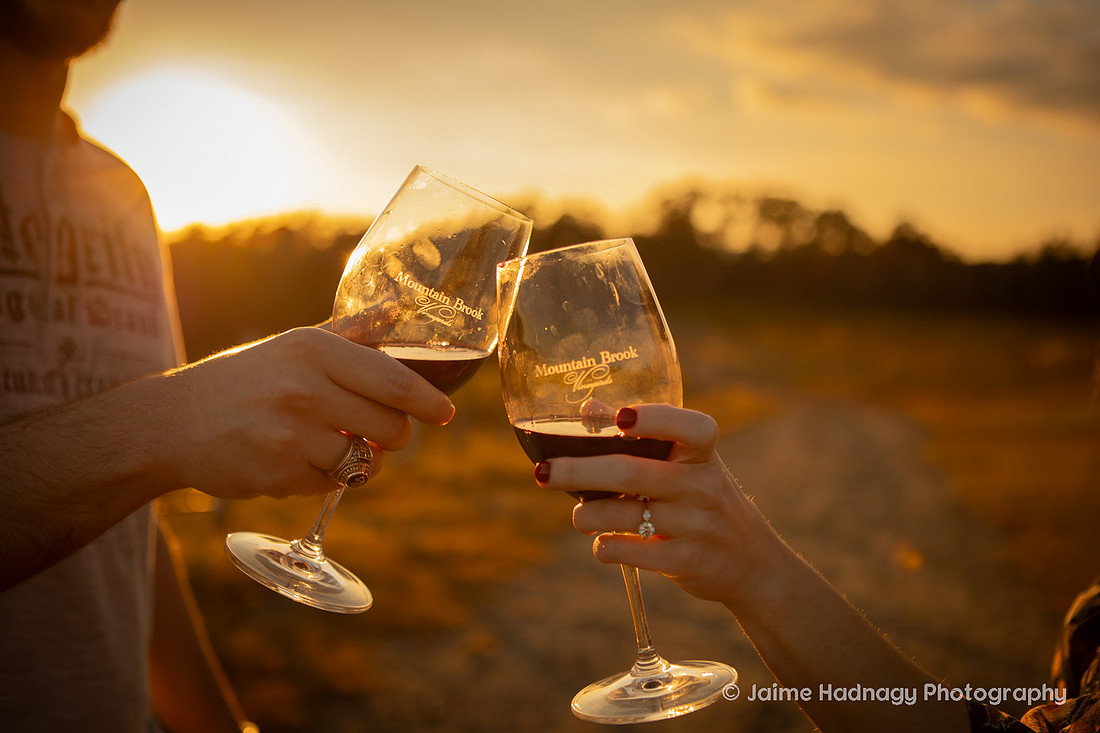 Engagement Photos at Mountain Brook Vineyards in Tryon | Asheville Proposal Photographer