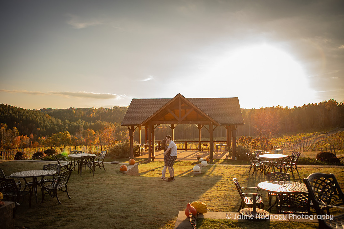 Surprise Proposal at Mountain Brook Vineyards | Asheville Engagement Photographer