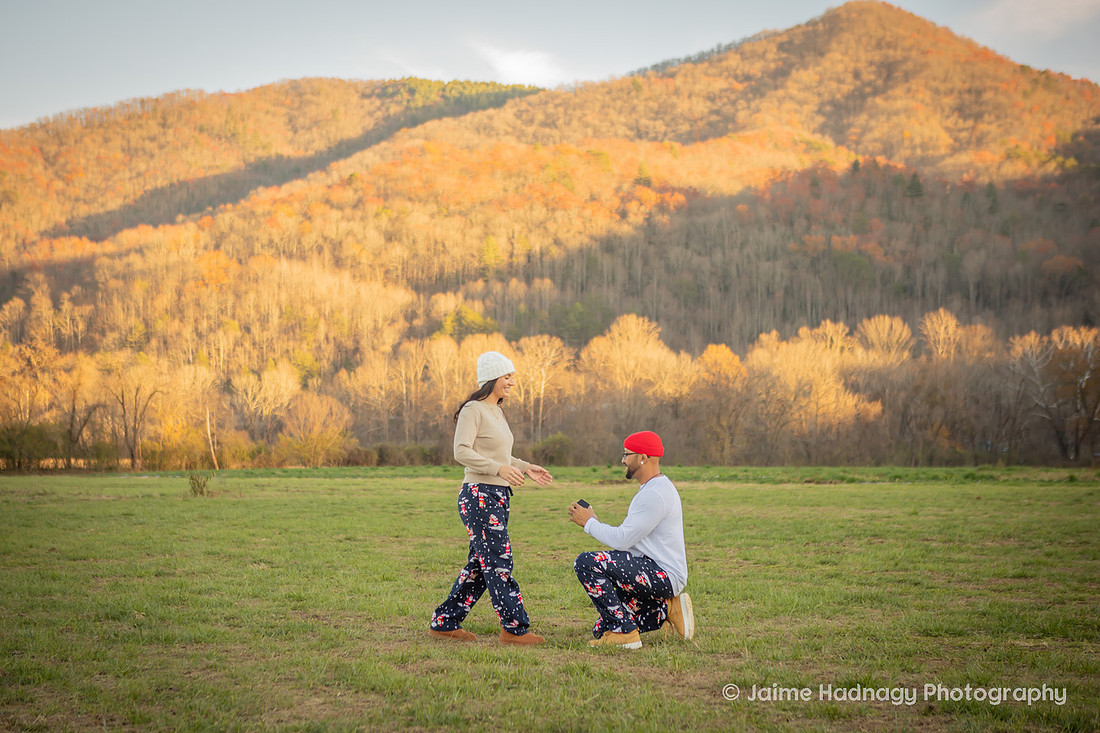 Christmas Proposal | Asheville Family Photographer