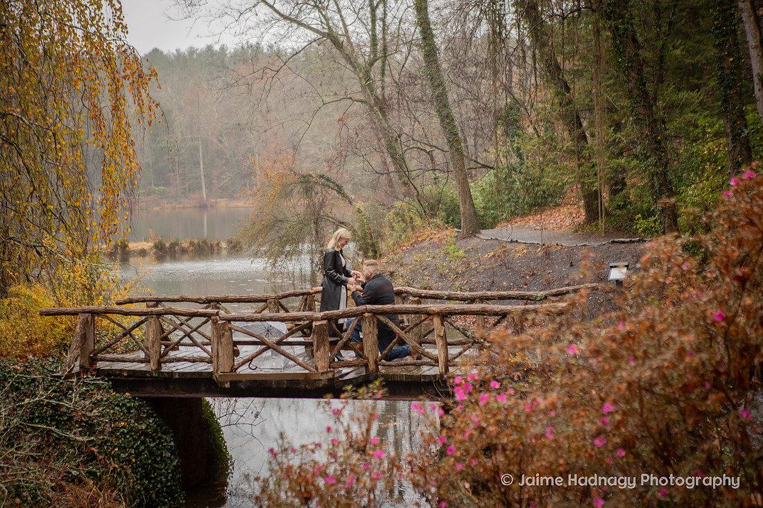 Proposal at Bass Pond Biltmore Estate | Asheville Photographer