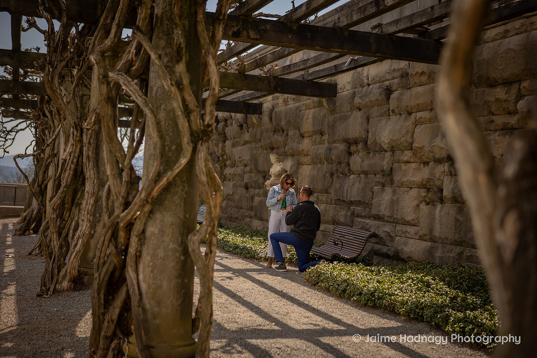 Proposal at Pergula at Biltmore Estate