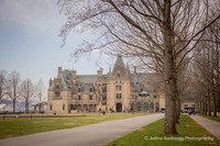 Alex & Angie: Proposal Under the Pergola at Biltmore