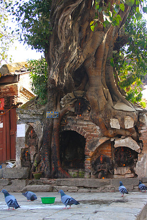 Kathmandu, Nepal