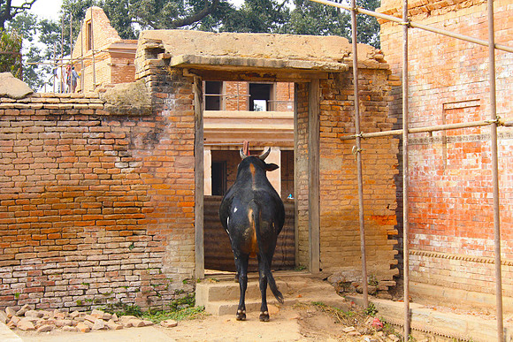Nepal