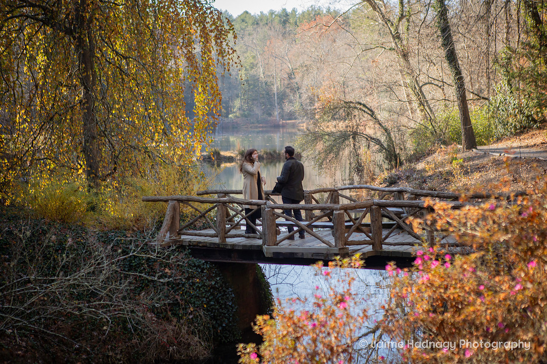Surprise Proposal at the Biltmore Estate Bass Pond | Asheville Engagement Photographer