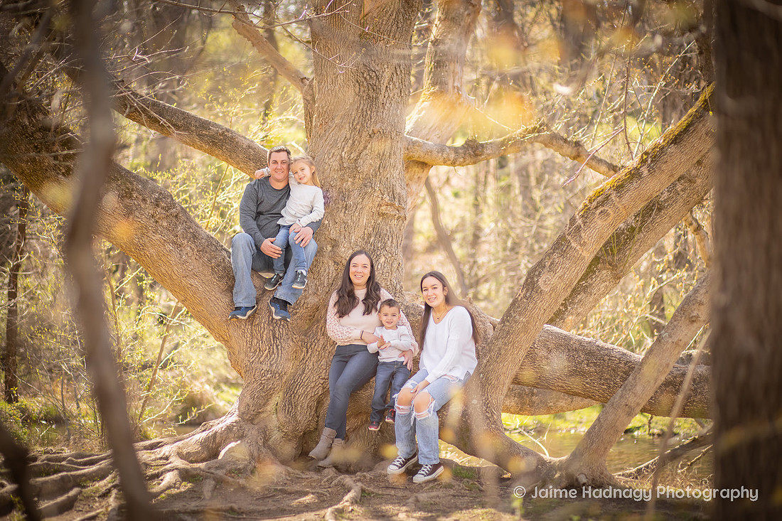 Asheville Family Photographer | Outdoor Portrait Session