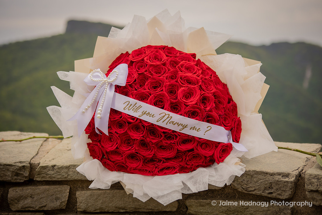 Romantic Proposal with Roses in the Mountains of Western NC | Asheville Photographer