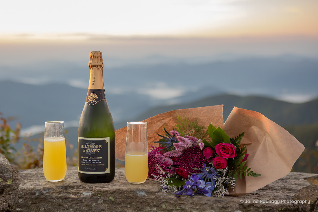 Sunrise Surprise Proposal in the mountains | Asheville Photographer