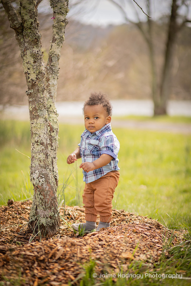Outdoor Family Photo Session for First Birthday | Asheville Kids Photographer