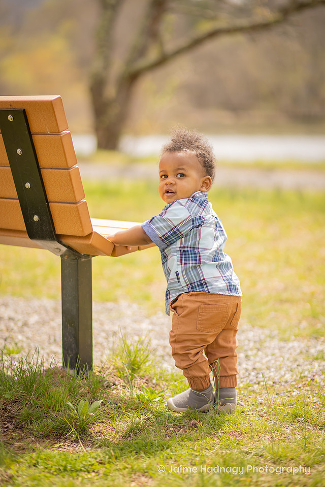 Outdoor Family Photo Session for First Birthday | Asheville Kids Photographer