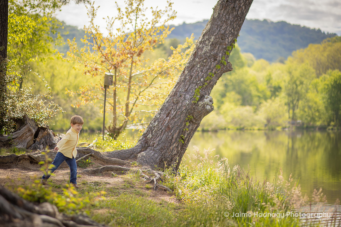 Extended Family Portraits in Asheville Outdoors with Little Kids and Babies