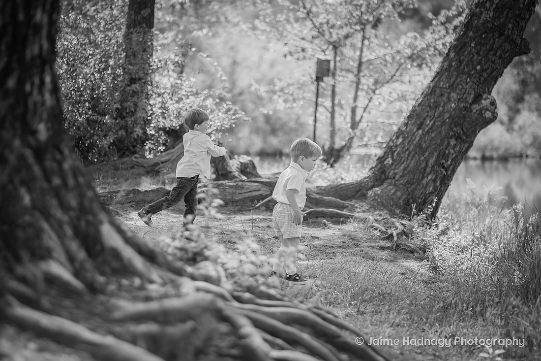 Extended Family Portraits in Asheville Outdoors with Little Kids and Babies