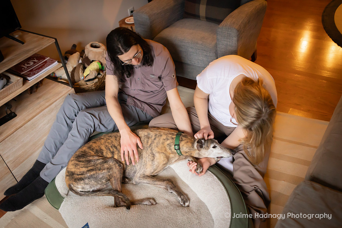 End of Life Photoshoot for Senior Dog | Asheville Pet Photographer