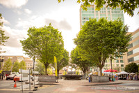 Ahren & Mackenzie: Proposal in Downtown Asheville at Pack Square Park