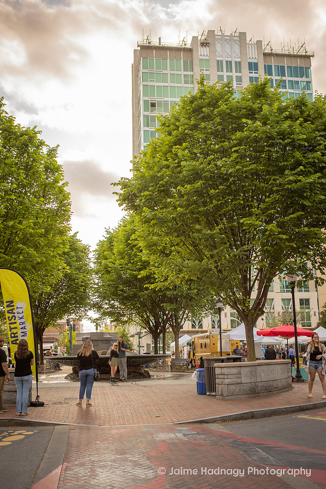 Surprise Proposal in Downtown Asheville | Engagement Photographer