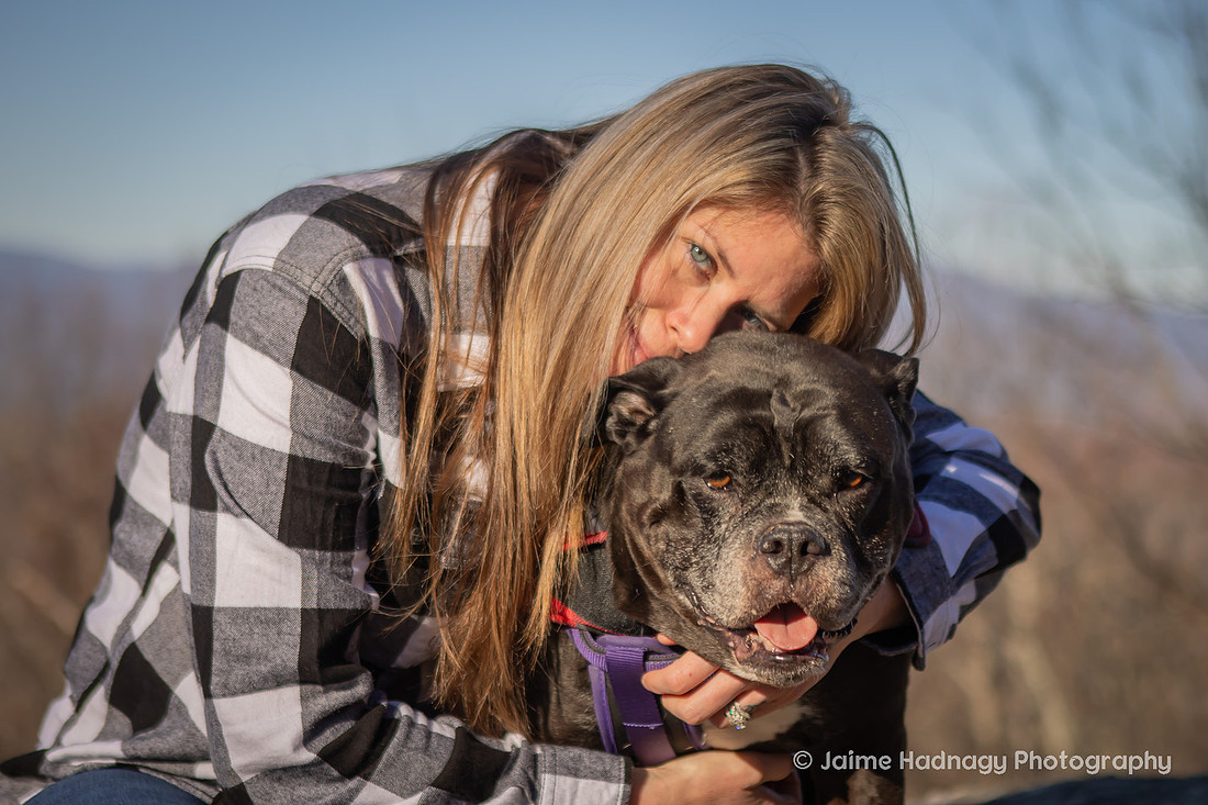 Loving Family Photos with Senior Dog | Asheville Pet Photographer