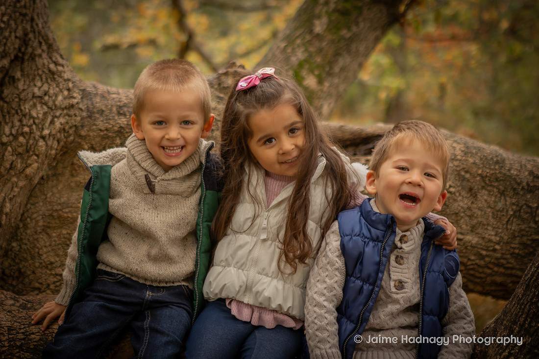 Outdoor Family Photos in Asheville with 4 Year Old Triplets