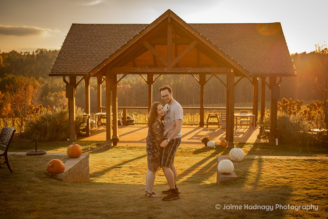 Surprise Proposal at Mountain Brook Vineyards | Asheville Engagement Photographer