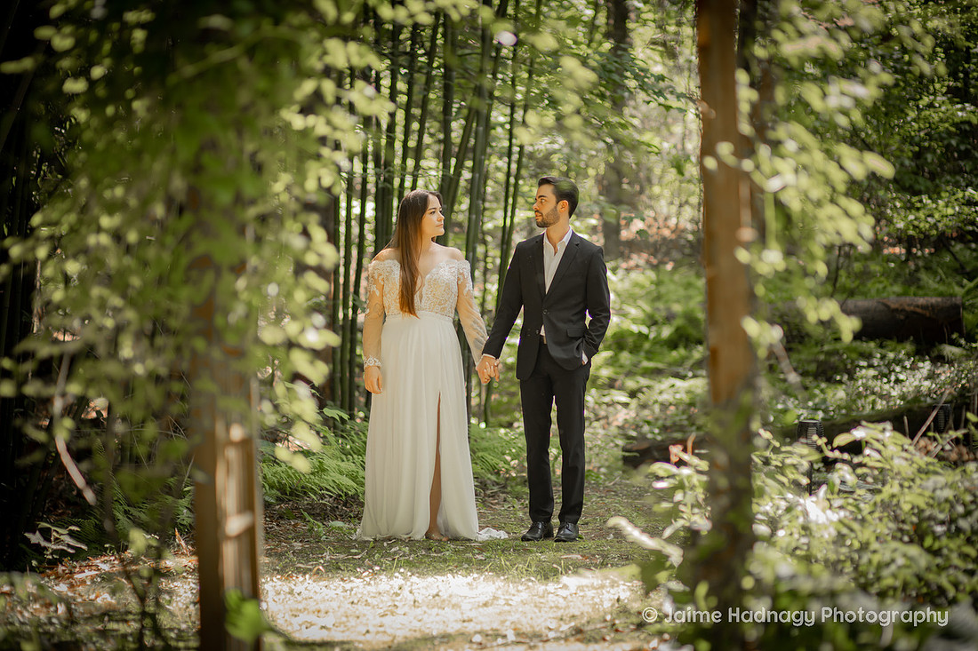 Elopement Photos at River North NC | Asheville Wedding Photographer