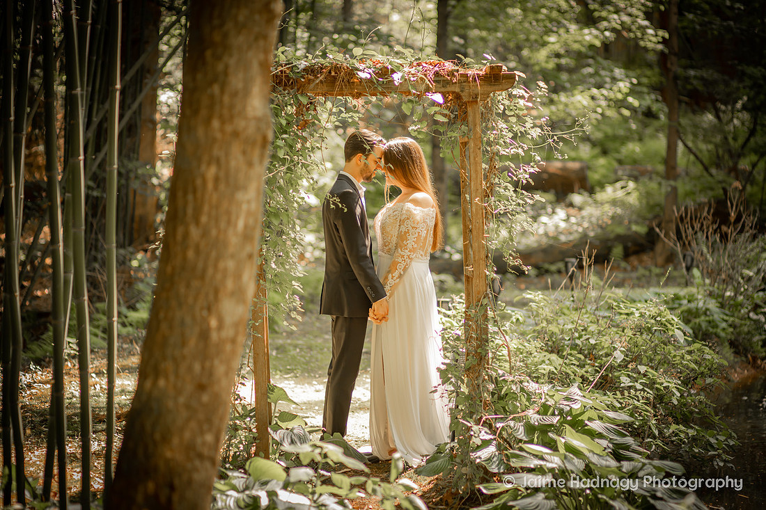 Elopement Photos at River North NC | Asheville Wedding Photographer
