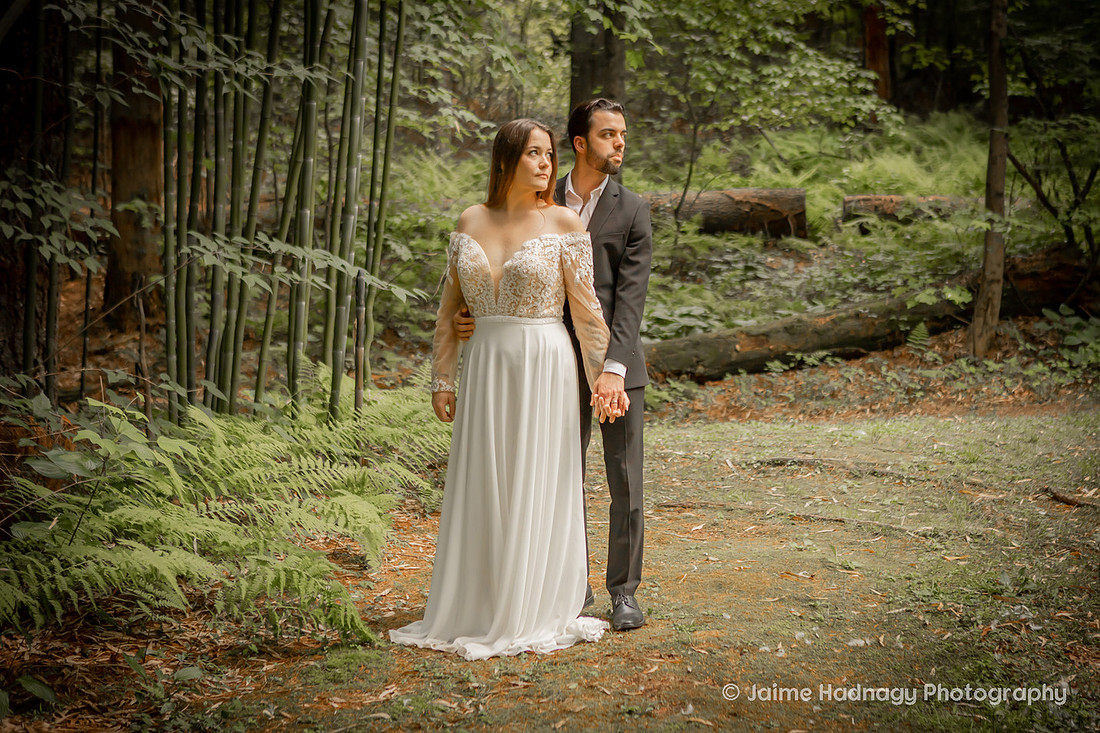 River North Elopement | Asheville Wedding Photographer Forest Photos