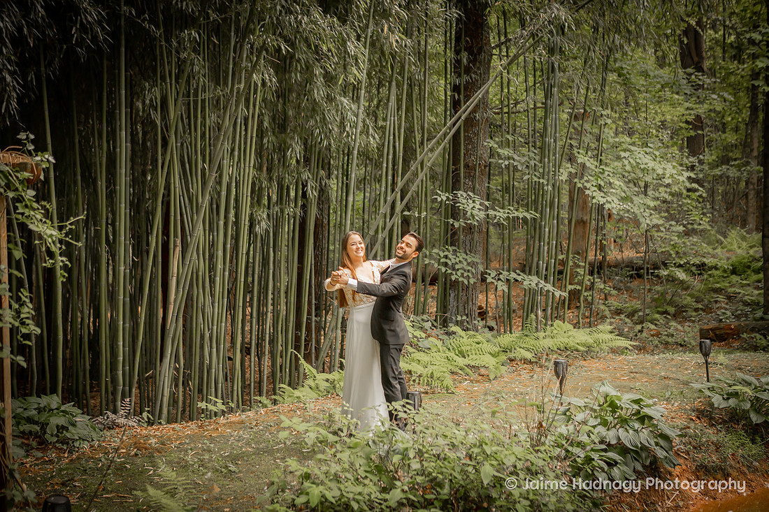 River North Elopement | Asheville Wedding Photographer Forest Photos