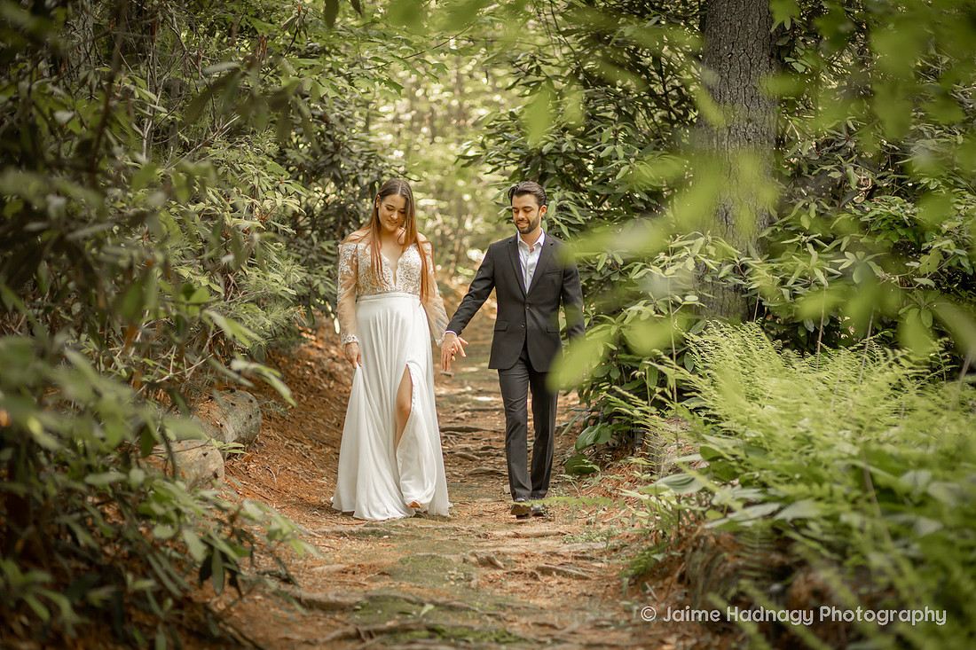 River North Elopement | Asheville Wedding Photographer Forest Photos
