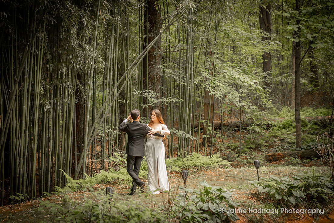 River North Elopement | Asheville Wedding Photographer Forest Photos