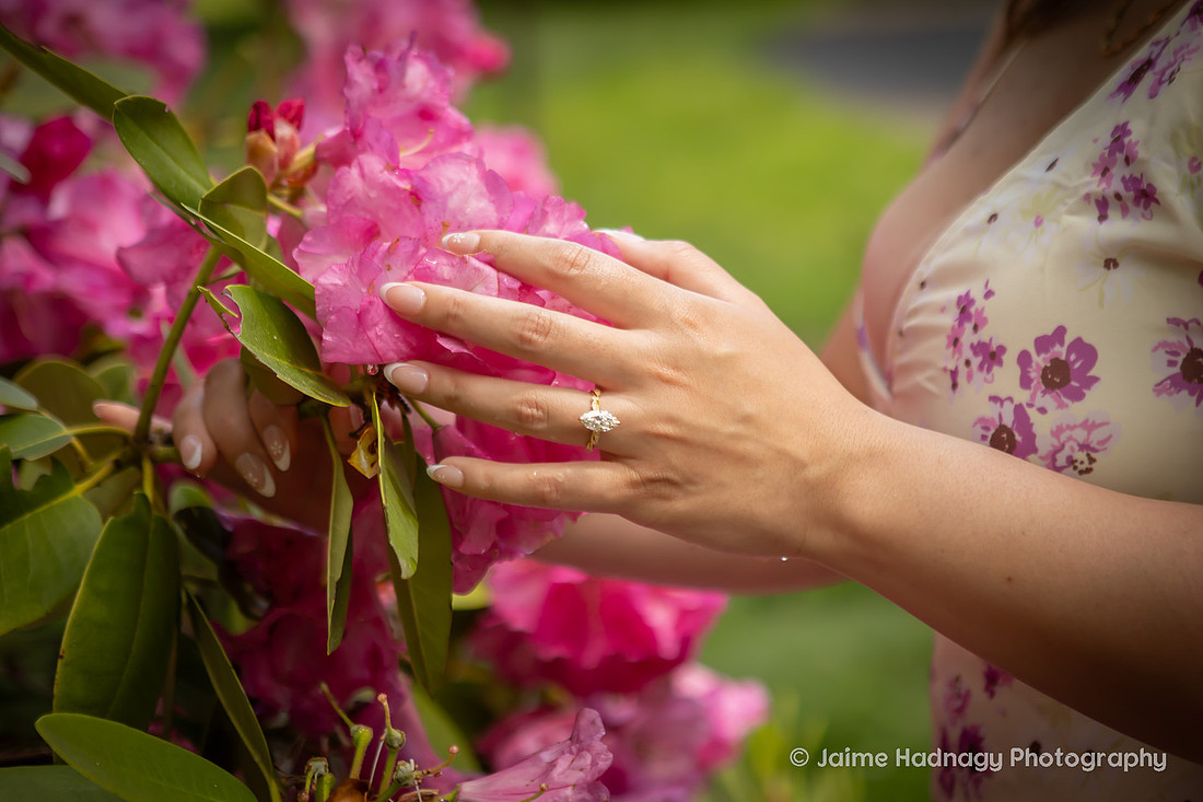 Asheville Engagement Session at the Arboretum | Proposal Photographer