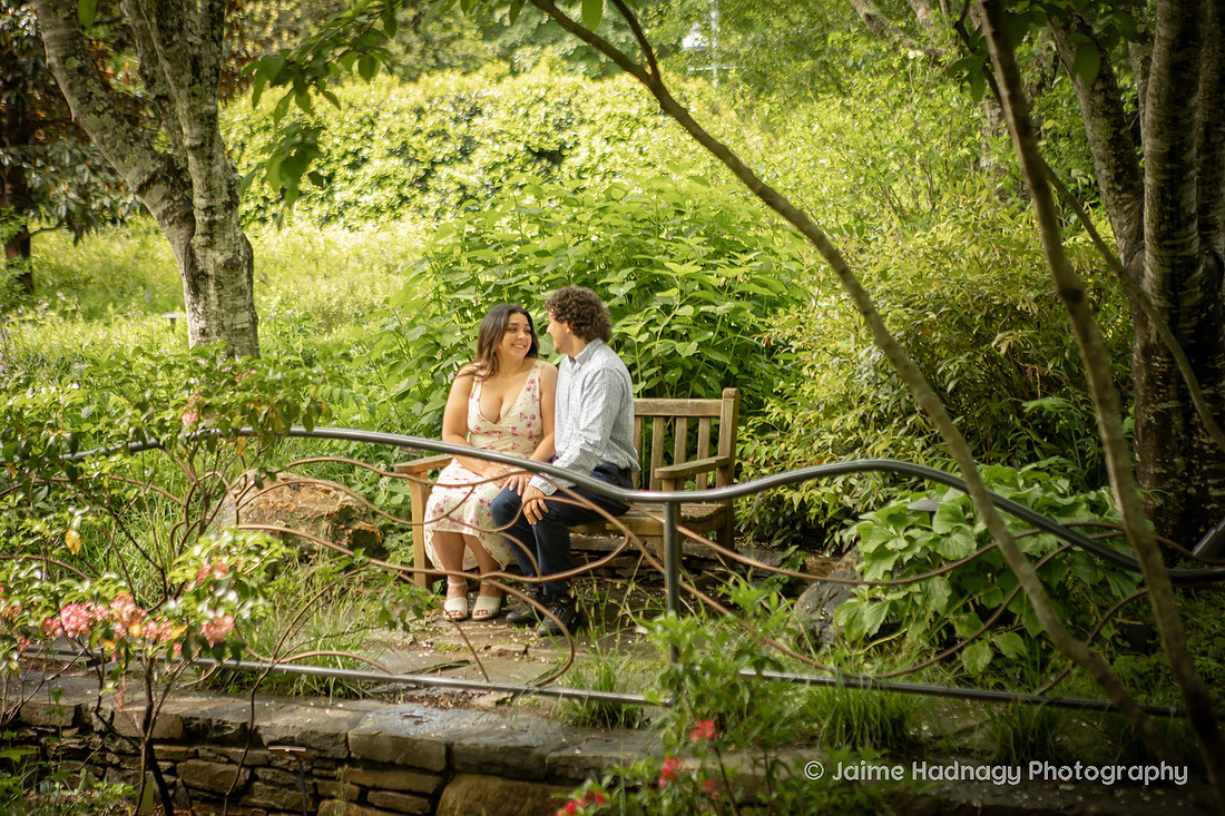 Asheville Engagement Session at the Arboretum | Proposal Photographer