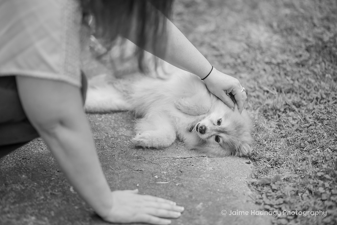 At home photoshoot of woman and her dog | asheville pet photographer