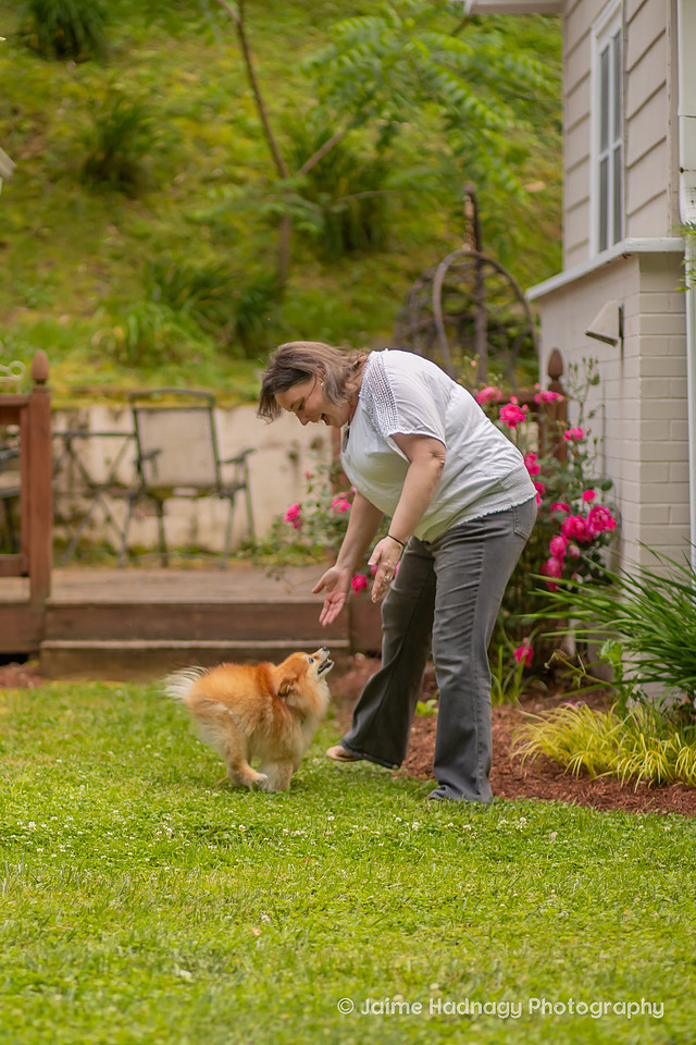 Pomeranian Photo Session at Home | Asheville Dog Photographer