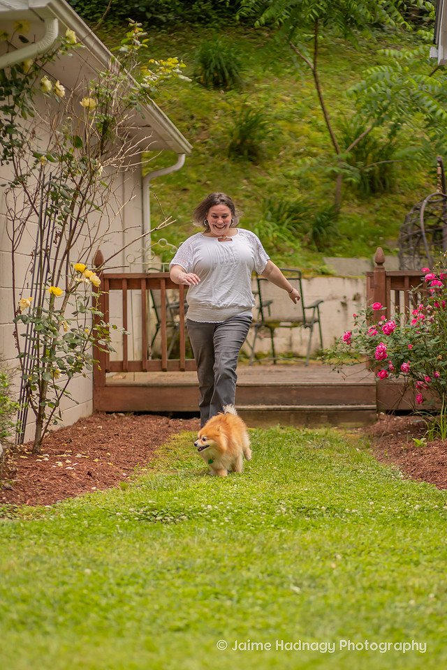 Pomeranian Photo Session at Home | Asheville Dog Photographer